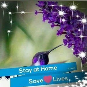 Meet your Posher, Doris